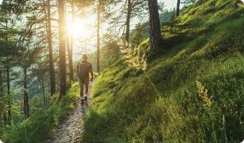 a person walking on a trail in the woods