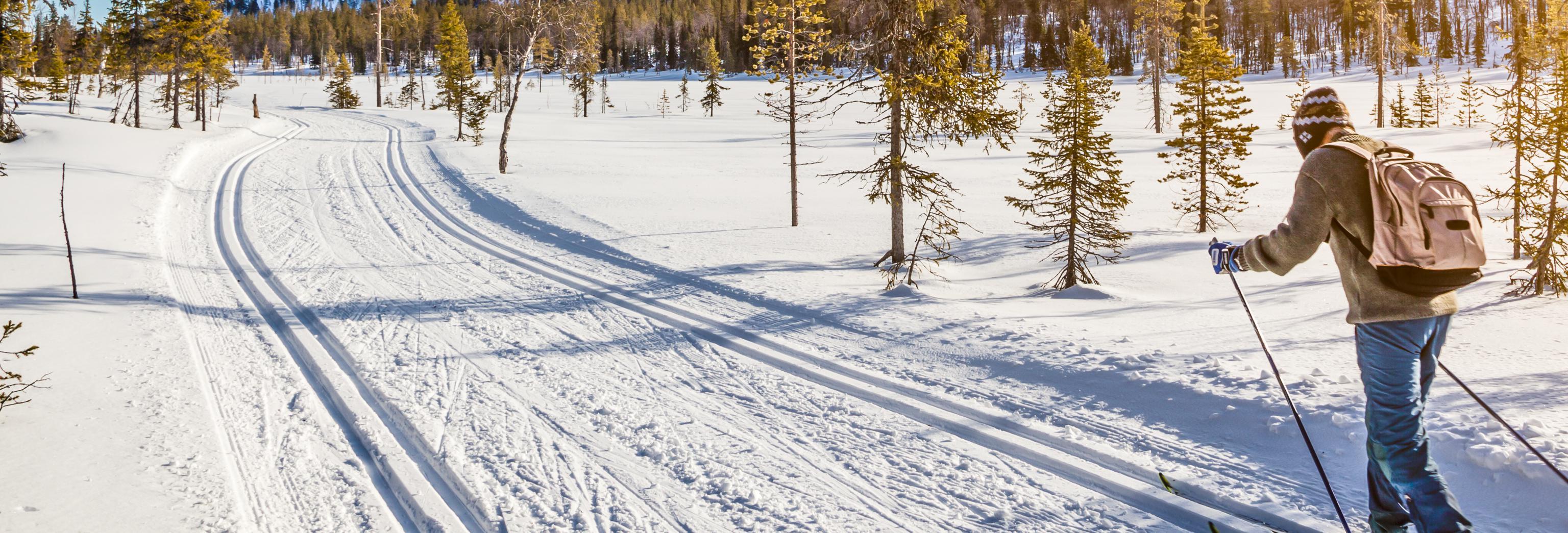 cross country skiing