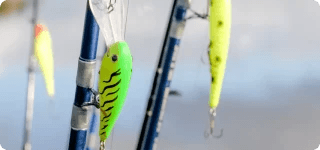 a close-up of some water skis